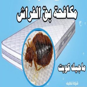 مكافحة حشرات الفروانية - مكافحة حشرات وقوارض الفروانية - مكافحة حشرات 66991461 - شركة حشرات - شركة مكافحة حشرات - مكافحة بق - مكافحة قوارض - مكافحة حشرات الكويت 14 مكافحة بق مكافحة حشرات الفروانية - مكافحة حشرات وقوارض الفروانية - مكافحة حشرات 66991461 - شركة حشرات - شركة مكافحة حشرات - مكافحة بق - مكافحة قوارض - مكافحة حشرات الكويت