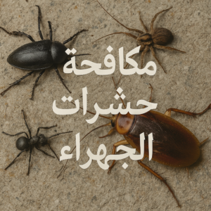 مكافحة حشرات الجهراء - رش حشرات الجهراء - شهيد📞99663955 - مكافحة حشرات وقوارض الجهراء - شركة مكافحة حشرات الجهراء - مكافحة بق الجهراء - شركة حشرات الجهراء 3 مكافحة حشرات الجهراء