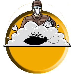 %D9%85%D9%83%D8%A7%D9%81%D8%AD%D8%A9 %D8%AD%D8%B4%D8%B1%D8%A7%D8%AA 1 الرئيسية