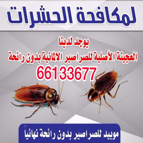 pest control pest control مكافحة حشرات - مكافحة حشرات الكويت 66133677