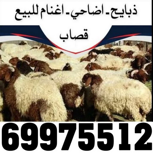 2 المنيوم الكويت – فني المنيوم - احمد باكستاني 99619260 - المنيوم - شتر - تركيب مطابخ - فني شتر - تركيب شتر - تصليح شتر - تصليح مطبخ - معلم المنيوم - فني المنيوم الكويت
