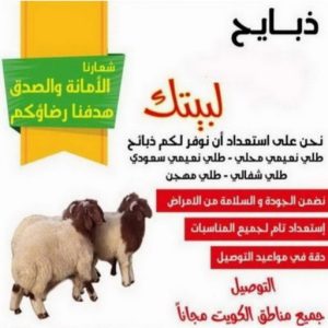 ذبائح 4499 قصاب - قصاب متنقل - بالكويت📞65101414 - ذبايح - ذبائح الكويت - غنم للبيع - اغنام للبيع - ذبايح للبيع - غنم - سوق غنم - اغنام عربي للبيع - جزار - ذبائح