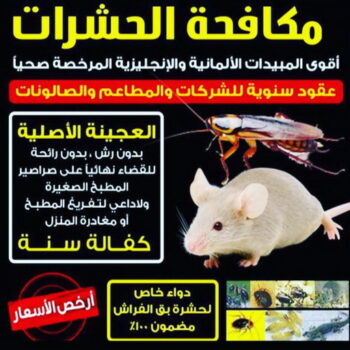 مكافحة قوارض - مكافحة حشرات وقوارض - الوطنية📞99663955 - شركة حشرات - مكافحة حشرات - شركة مكافحة حشرات - مكافحة بق - مكافحة حشرات الكويت