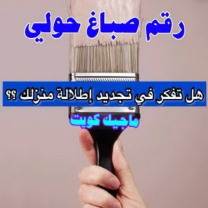 رقم صباغ حولي