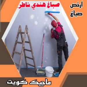 صباغ هندي شاطر صباغ هندي - صباغ هندي الكويت - أصباغ الزهراء📞66586944 - صباغ هندي الجهراء - صباغ هندي الفروانية - رقم صباغ هندي - صباغ هندي رخيص - صباغ هندي شاطر