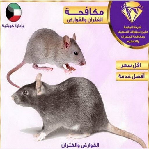 مكافحة حشرات الفروانية - مكافحة حشرات وقوارض الفروانية - مكافحة حشرات 66991461 - شركة حشرات - شركة مكافحة حشرات - مكافحة بق - مكافحة قوارض - مكافحة حشرات الكويت 1 مكافحة حشرات الفروانية - مكافحة حشرات وقوارض الفروانية - مكافحة حشرات 66991461 - شركة حشرات - شركة مكافحة حشرات - مكافحة بق - مكافحة قوارض - مكافحة حشرات الكويت