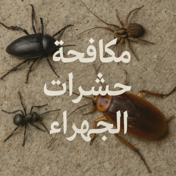 مكافحة حشرات الجهراء - رش حشرات الجهراء - شهيد📞99663955 - مكافحة حشرات وقوارض الجهراء - شركة مكافحة حشرات الجهراء - مكافحة بق الجهراء - شركة حشرات الجهراء